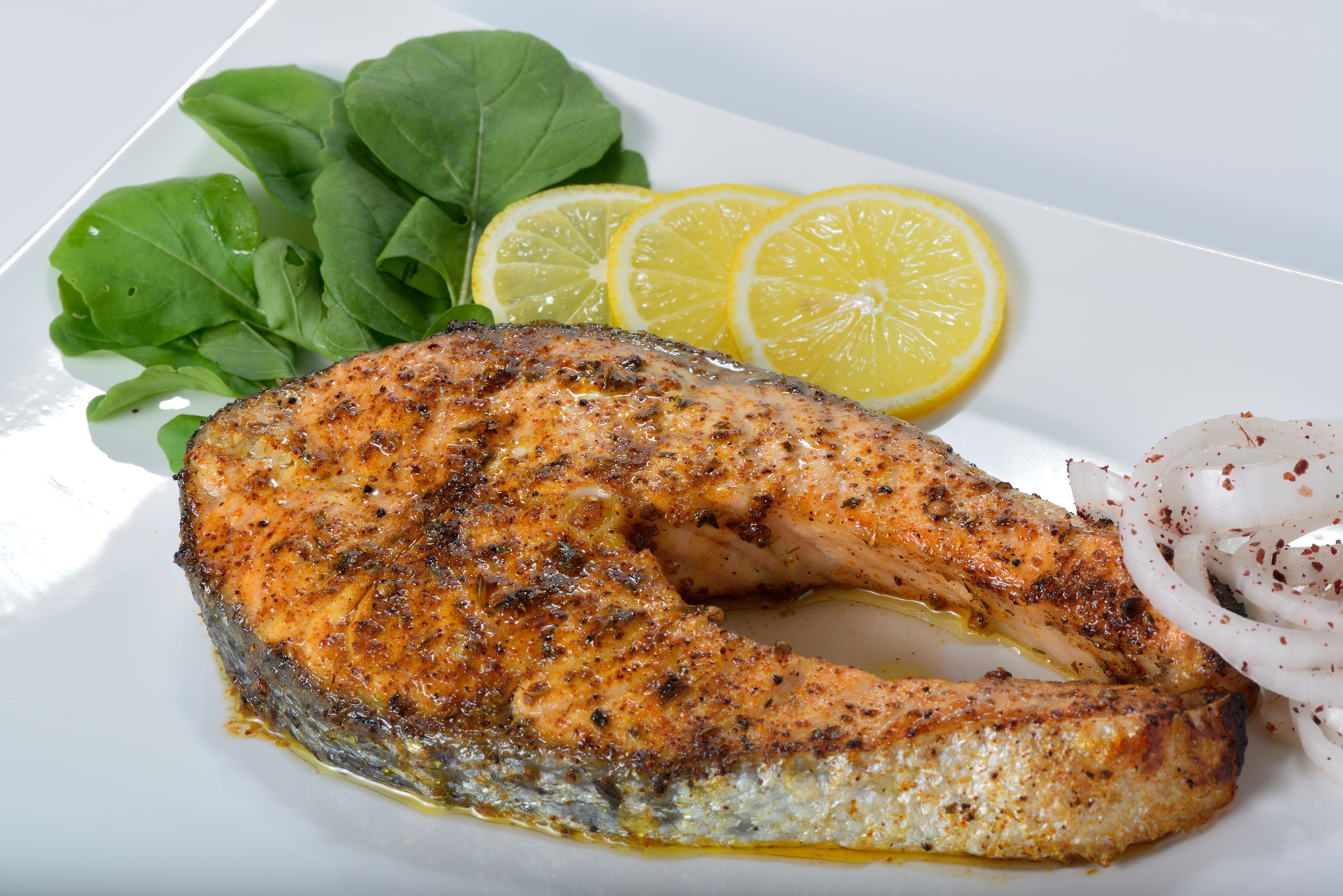 Salmon Fish