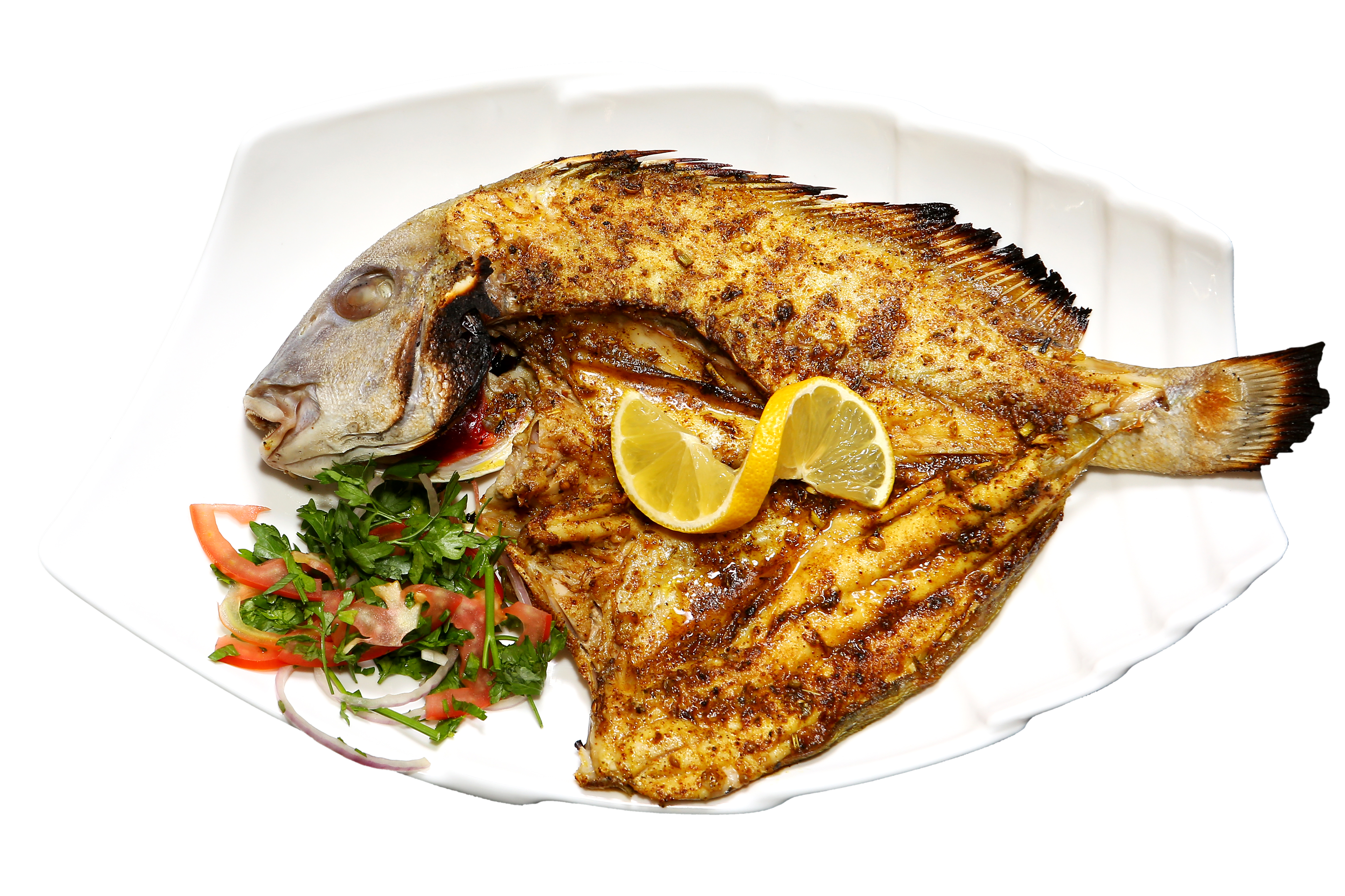 Sea Bream Fish