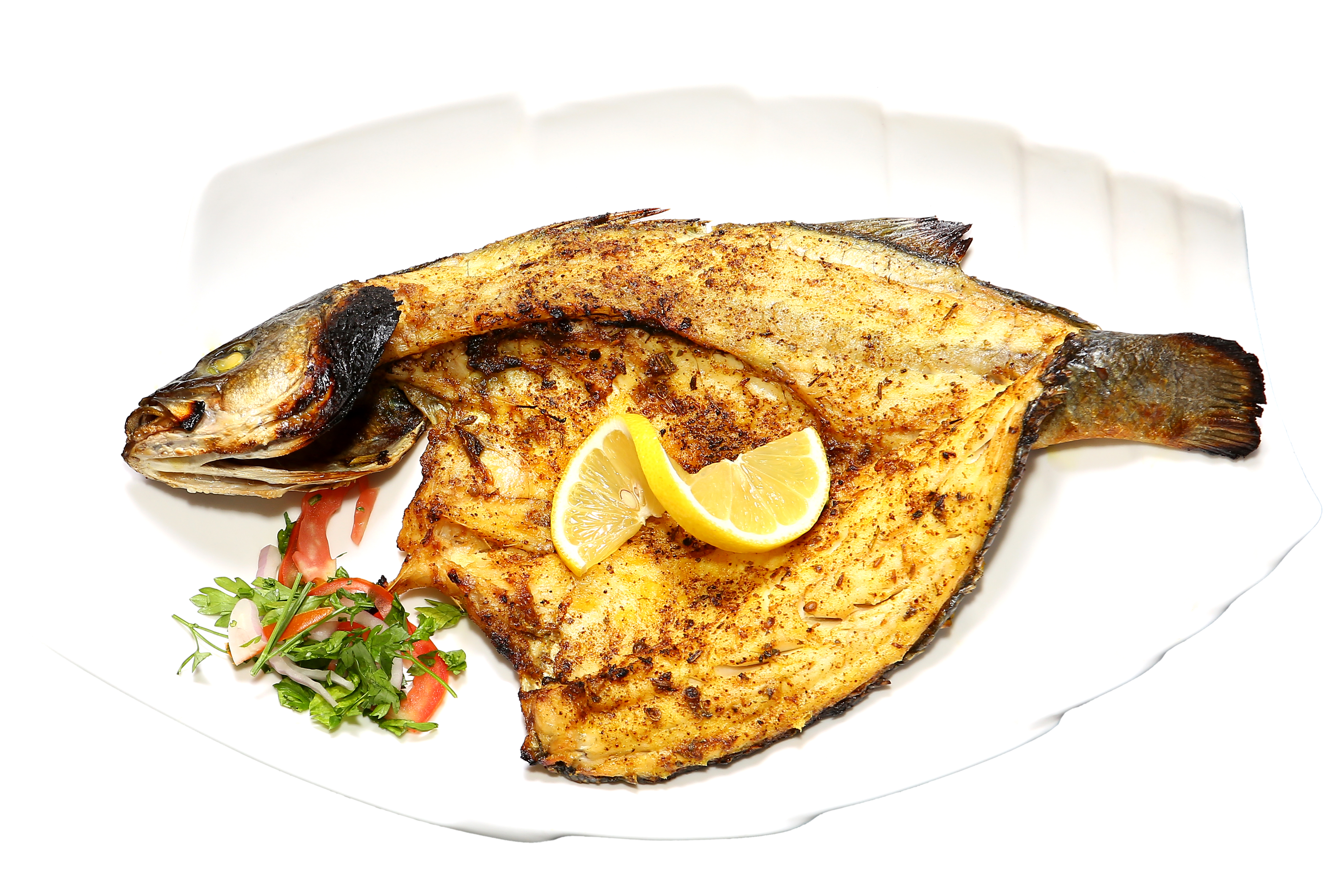 Sea Bass Fish